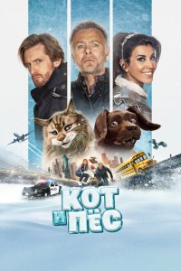 Кот и пёс Кот и пёс