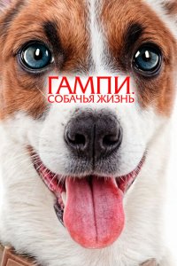 Гампи. Собачья жизнь Гампи. Собачья жизнь