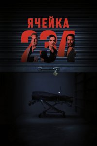Ячейка 234 Ячейка 234