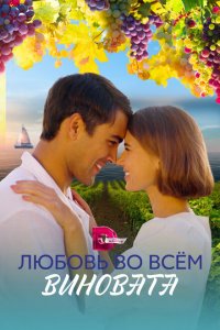  Любовь во всем виновата 1 сезон