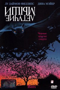  Летучие мыши 