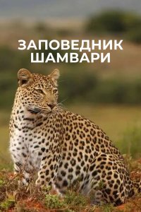 Заповедник Шамвари 1 сезон Заповедник Шамвари 1 сезон