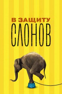 В защиту слонов В защиту слонов