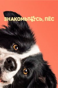 Знакомьтесь, пёс Знакомьтесь, пёс