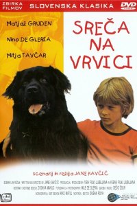 Счастье на поводке Счастье на поводке