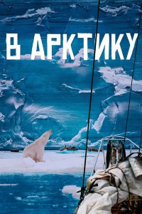  В Арктику 