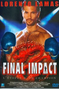 Последний удар   Последний удар