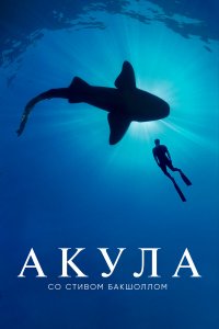  Акула со Стивом Бакшоллом 1 сезон