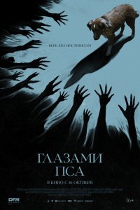 Глазами пса Глазами пса
