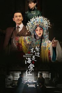  Зимняя бегония 1 сезон